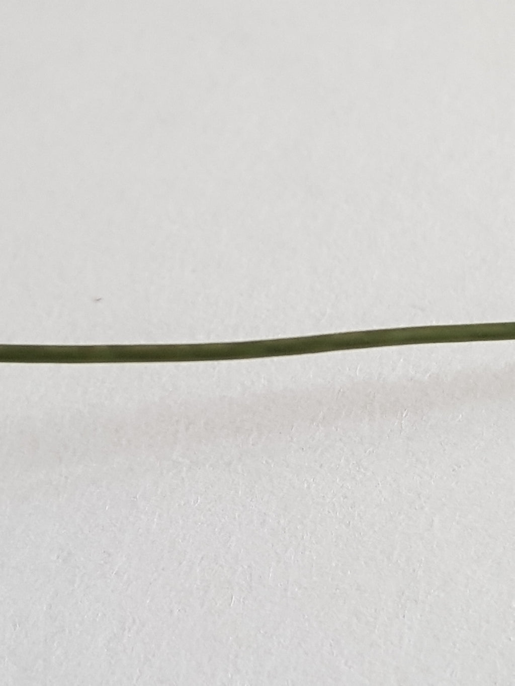 Snare Stiff Coated Braid Hook Link