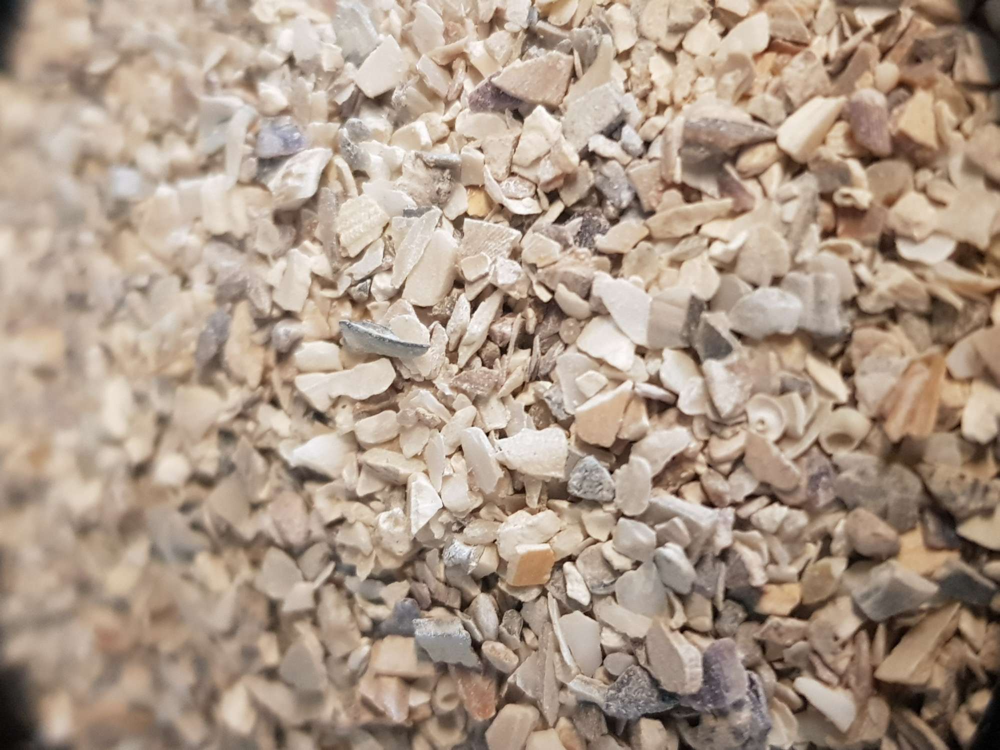 Crushed Oyster Shell image 1