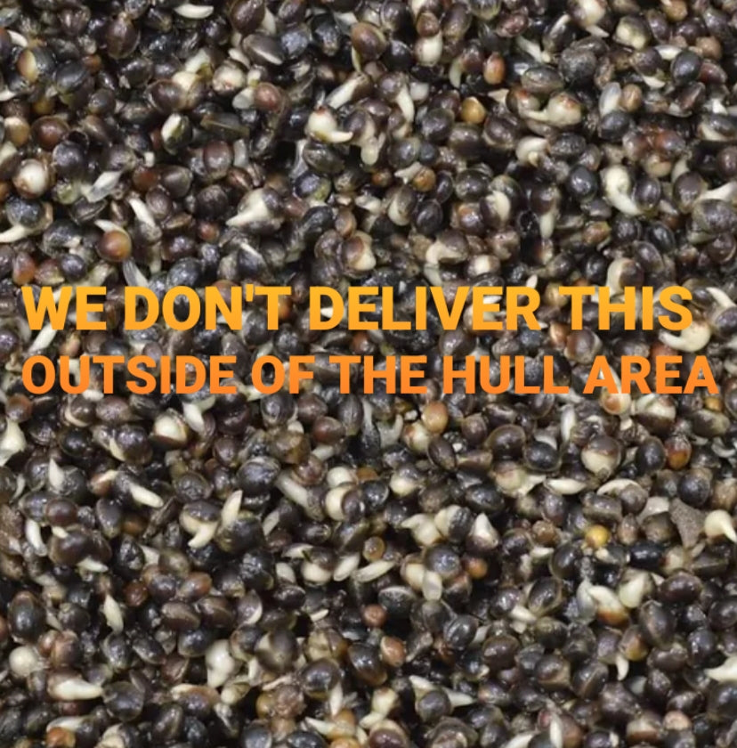 Prepared Hemp image 0