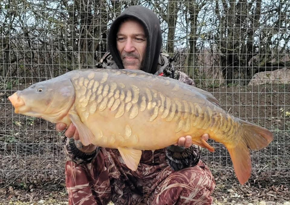 Himalayan Salt Rocks