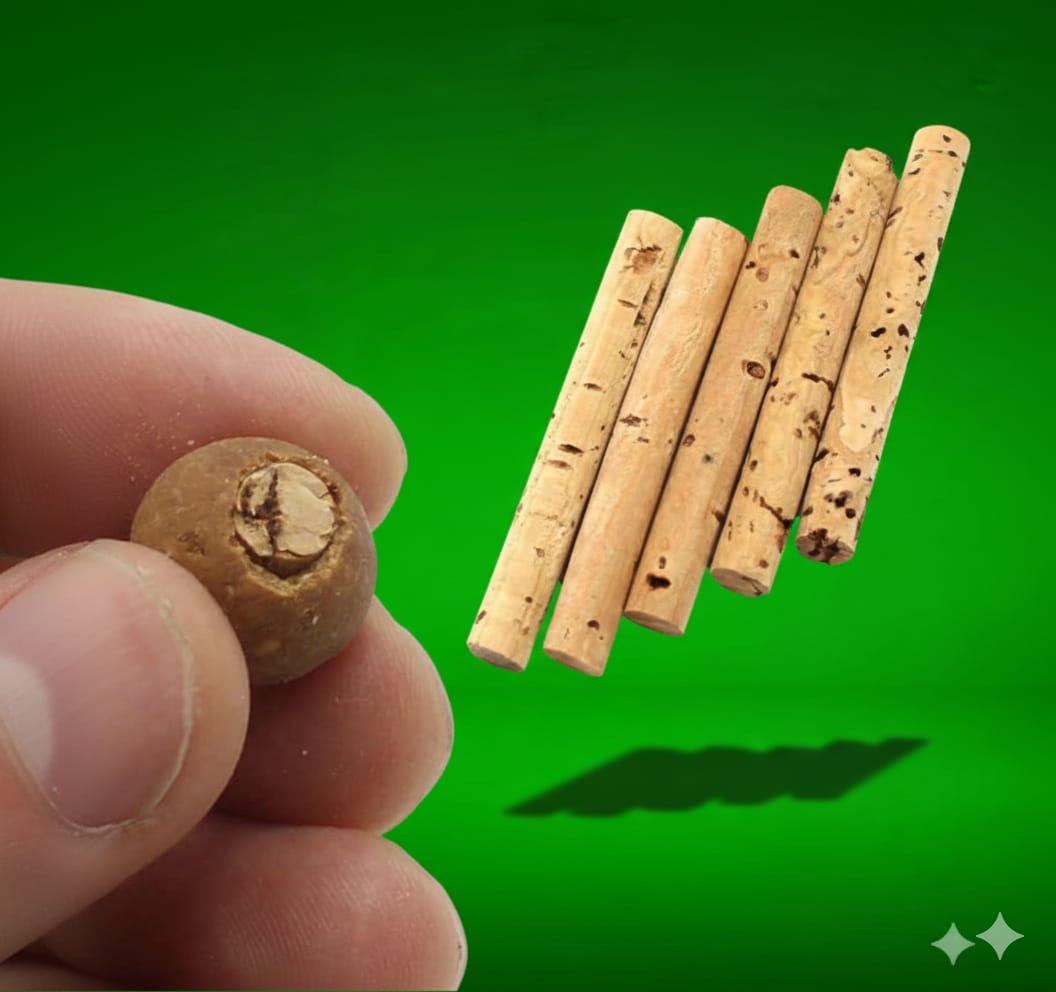 cork sticks on a green background