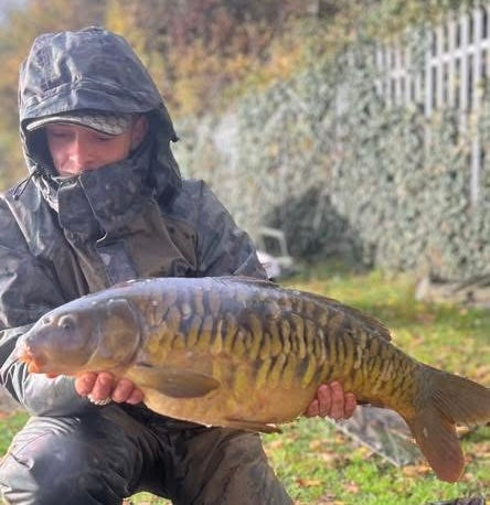 Person holding a large fish outdoors with a blurred background