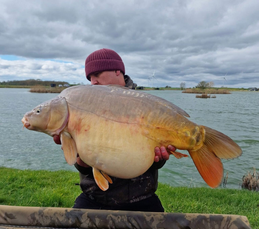 High Oil Pellet Powder