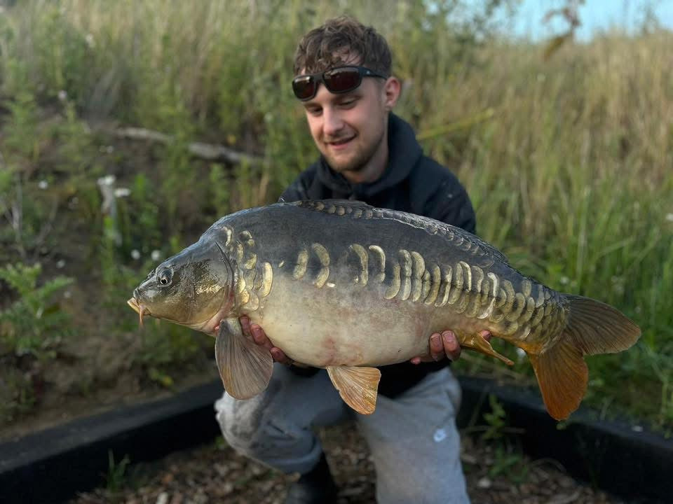 Pure Atlantic Krill Powder