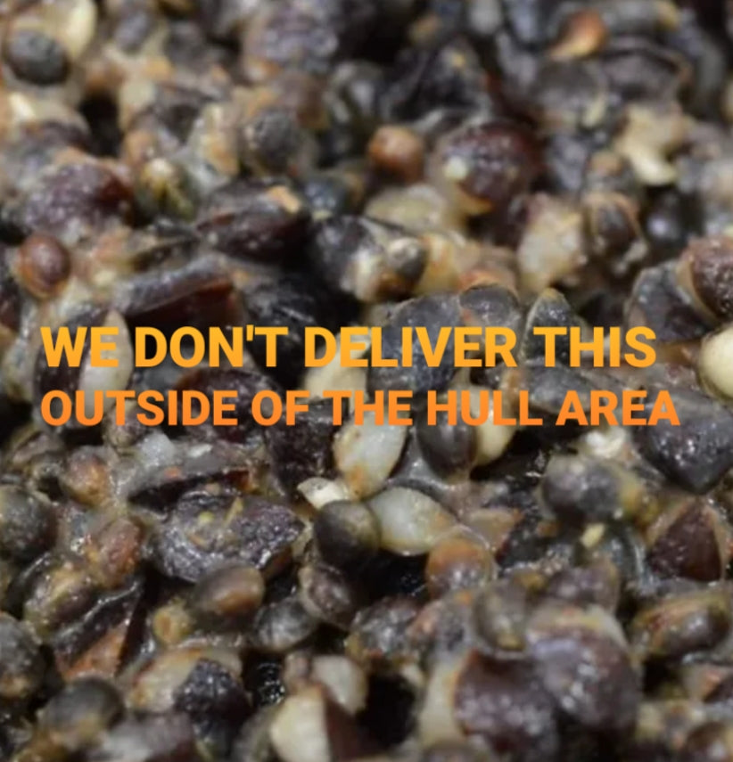 Prepared Hemp and Buckwheat  