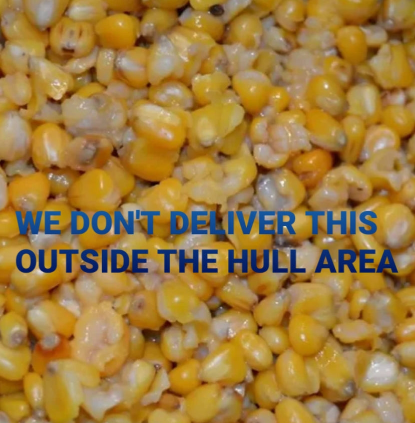 Prepared Maize